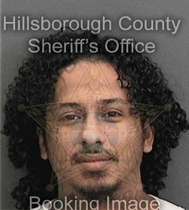 Arturo Rodriguezcarbajal, - Hillsborough County, FL 