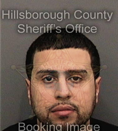 Roger Sanchez, - Hillsborough County, FL 