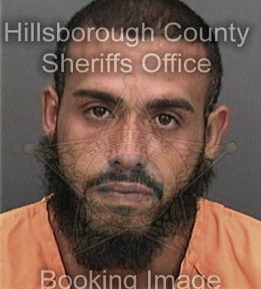 Francisco Bravo - Hillsborough County, FL 