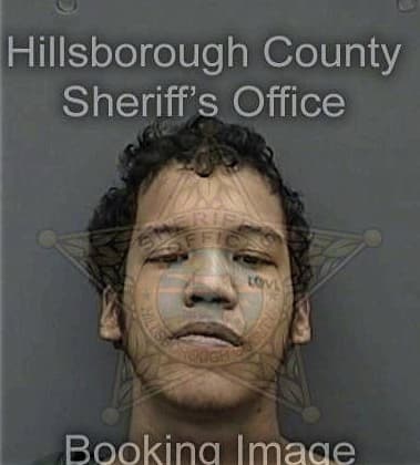 Joshua Eccles, - Hillsborough County, FL 