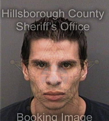 Brian Geer, - Hillsborough County, FL 