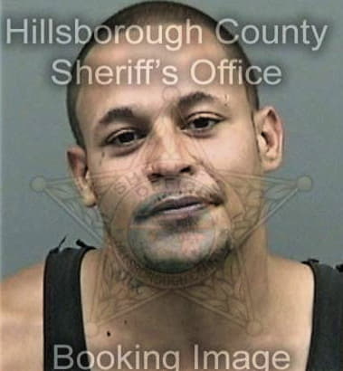 Alfredo Hernandez - Hillsborough County, FL 