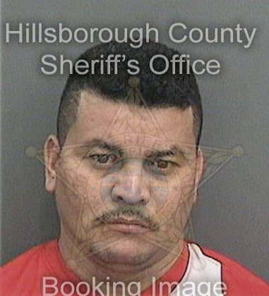 Travis Holden, - Hillsborough County, FL 