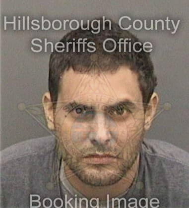 Alexandru Ivan, - Hillsborough County, FL 