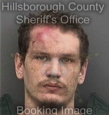 Amjed Oudeh, - Hillsborough County, FL 