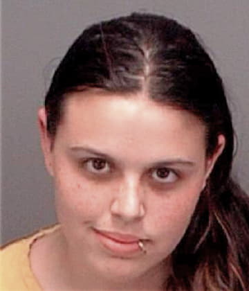 Michelle Snyder - Pinellas County, FL 