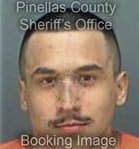 Carlos Bailonmero, - Pinellas County, FL 