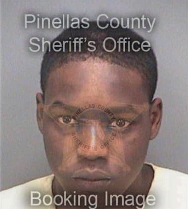 Terrance Burrows, - Pinellas County, FL 