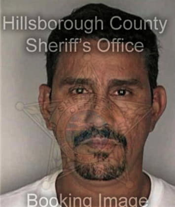 Terry Cohens - Hillsborough County, FL 