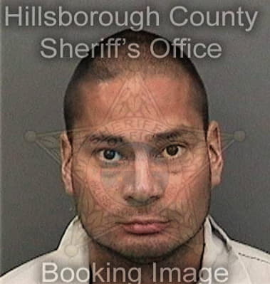 Othman Dahhane, - Hillsborough County, FL 