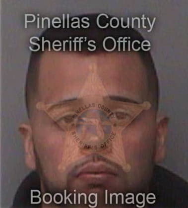 Patrick Divenuti, - Pinellas County, FL 