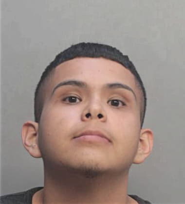 Leonel Enriquezgarcia, - Dade County, FL 