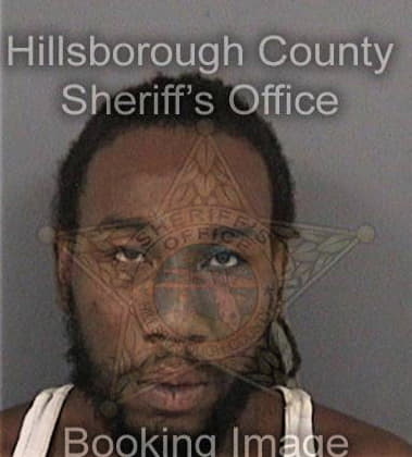 David Farrell, - Hillsborough County, FL 