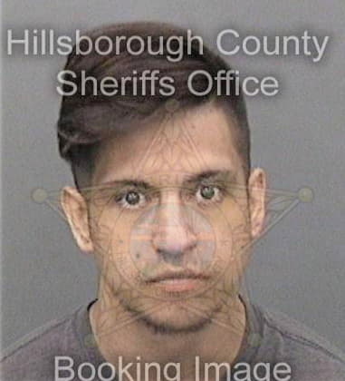 Steven Hall, - Hillsborough County, FL 