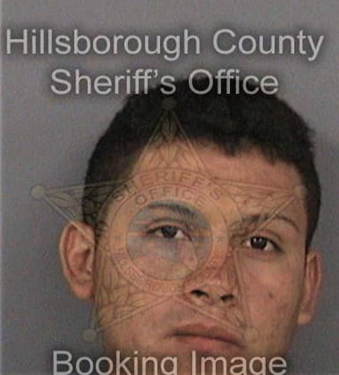 Orlando Hernandez - Hillsborough County, FL 