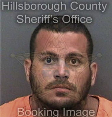 Ryan Medeiros - Hillsborough County, FL 