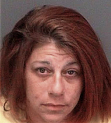 Lisa Jarchoannichiarico, - Pinellas County, FL 