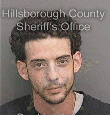 Ronald Maier, - Hillsborough County, FL 