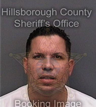 Shawn McNamara - Hillsborough County, FL 