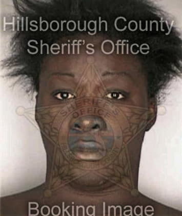 Daniel Mitchell - Hillsborough County, FL 