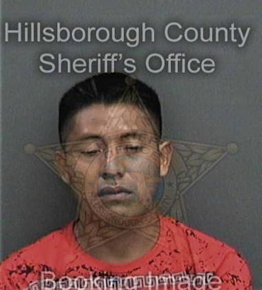 Pedro Cotto, - Hillsborough County, FL 