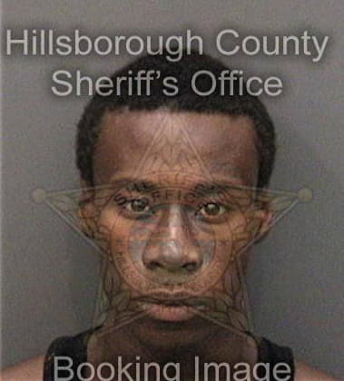 Gregory Flagg, - Hillsborough County, FL 