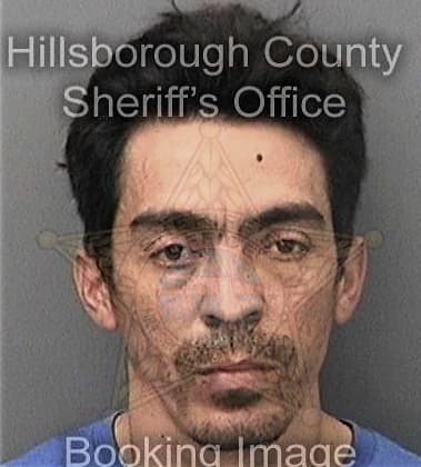 Brandon Hartman, - Hillsborough County, FL 