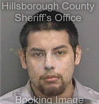 Michael Longoria, - Hillsborough County, FL 