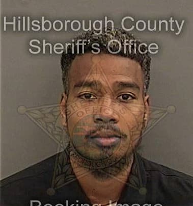 Donald Mason, - Hillsborough County, FL 