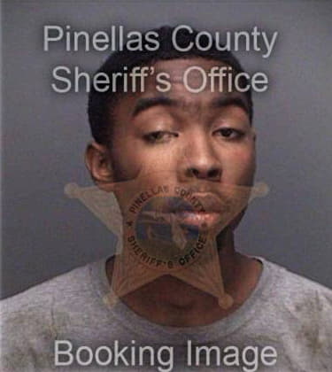 Alegro Owens, - Pinellas County, FL 