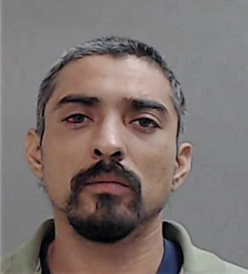 Rodrigo-Garza Resendez - Hidalgo County, TX 