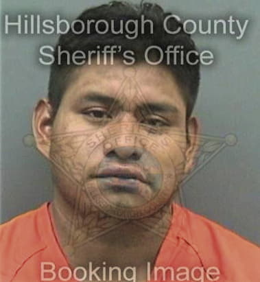 Angelo Sholow, - Hillsborough County, FL 