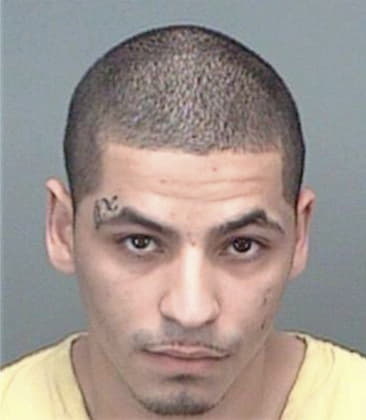 Carlos Verahertado, - Pinellas County, FL 