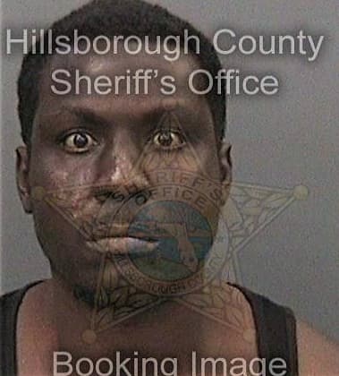 Michael Wiggins - Hillsborough County, FL 