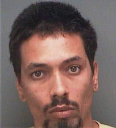 Fransisco Camposano, - Pinellas County, FL 