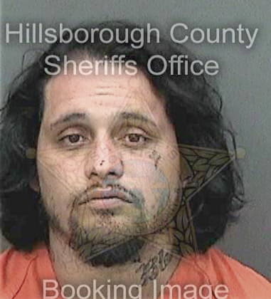 Johnathon Finkelstein, - Hillsborough County, FL 