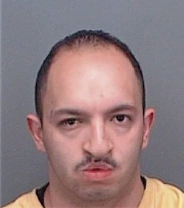 Isidro Granado, - Pinellas County, FL 