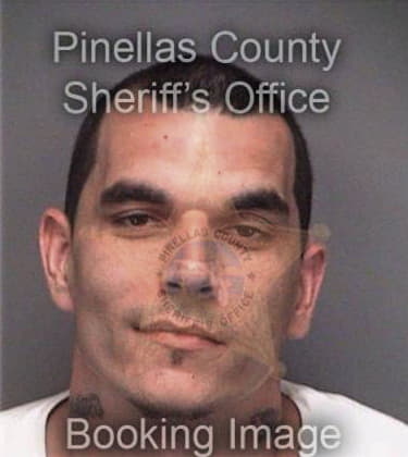 Michael Hodkinson, - Pinellas County, FL 