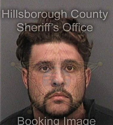 Eliazer Ocegueda, - Hillsborough County, FL 