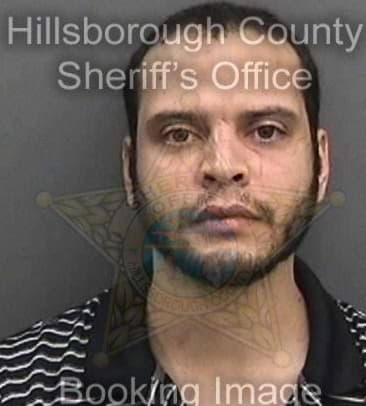 David Smith, - Hillsborough County, FL 