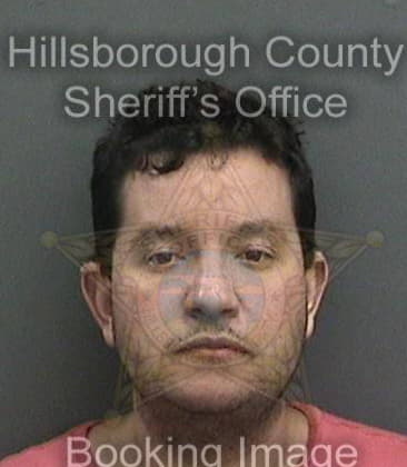 Kenneth Wood, - Hillsborough County, FL 