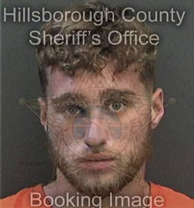 Michael Alessandrini, - Hillsborough County, FL 