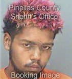 Richard Blandford, - Pinellas County, FL 