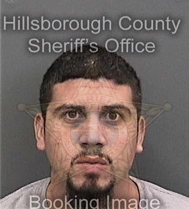 John Hoagland, - Hillsborough County, FL 