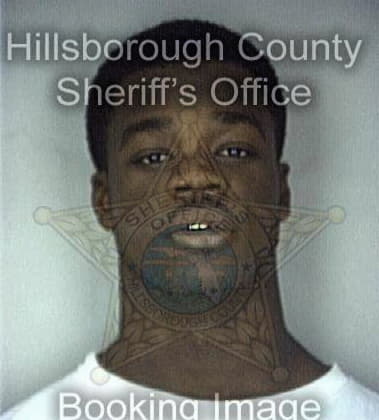 Ronald McClendon - Hillsborough County, FL 