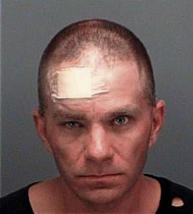 Steven McLachlan - Pinellas County, FL 