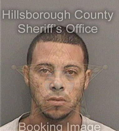 Luis Reyes, - Hillsborough County, FL 