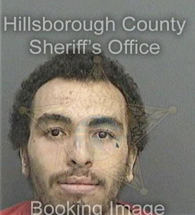 Steve Saenz, - Hillsborough County, FL 