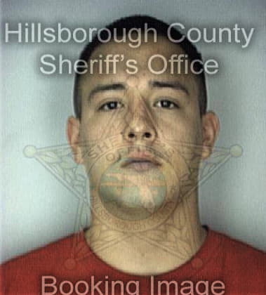 Lionel Valdez, - Hillsborough County, FL 