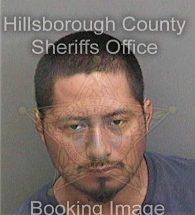 Sadir Vazquezverges, - Hillsborough County, FL 